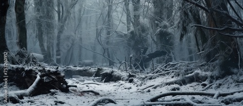 Tranquil Winter Scene: Sere...