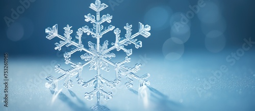 Delicate Snowflake Floating...