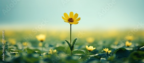 Vibrant Yellow Flower Bloom...