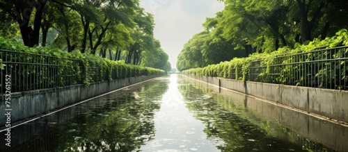 Tranquil River Flowing thro...
