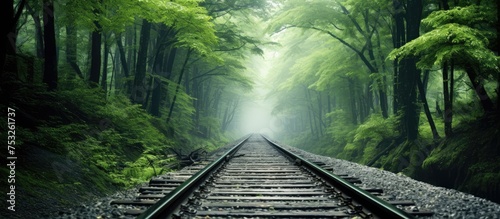 Serenity Among the Trees: T...