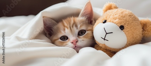 Adorable Kitten Peeking fro...
