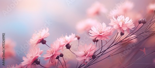 Vibrant Pink Blooms Creatin...