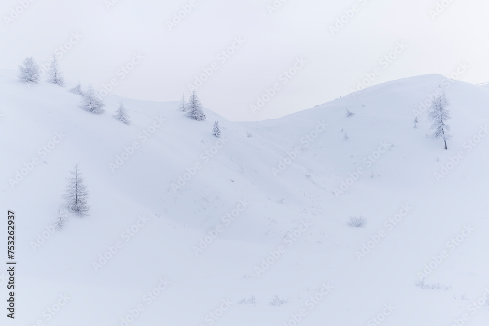 verschneite Landschaft am Grödner Joch, Passo Gardena, Südtirol, Alto Adige, Italien