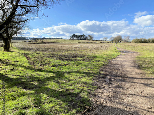 A view of the Cheshire Countryside at Peckforton Hills photo