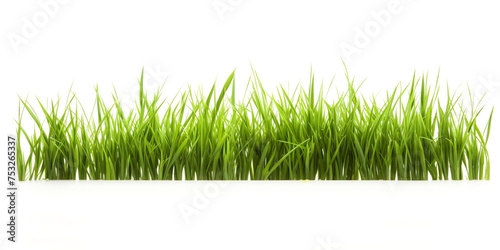 green grass on white background сreated with Generative Ai