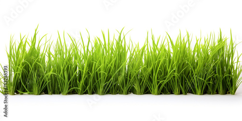 green grass on white background сreated with Generative Ai