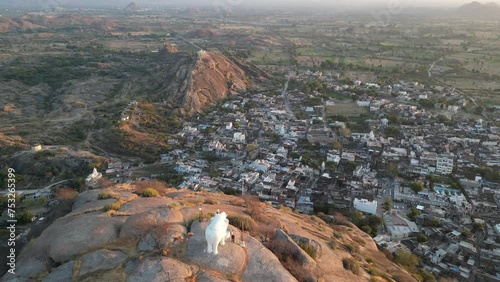 Aerial video of the Elephant Hill statue above Narlai India photo