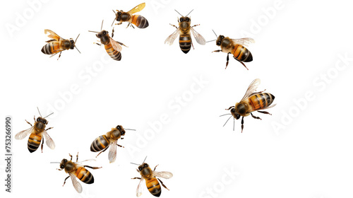 flying bees isolated on transparent background.png © AlimMahmud