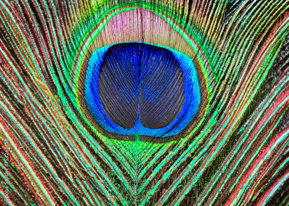 Obraz premium abstract peacock feather pattern created with generative ai technology