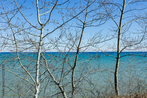 Leafless poplar trees above the shore of a bright blue lake. 