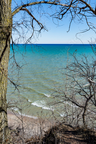 Leafless trees on a bluff overlooking Lake Michigan in the early spring. 