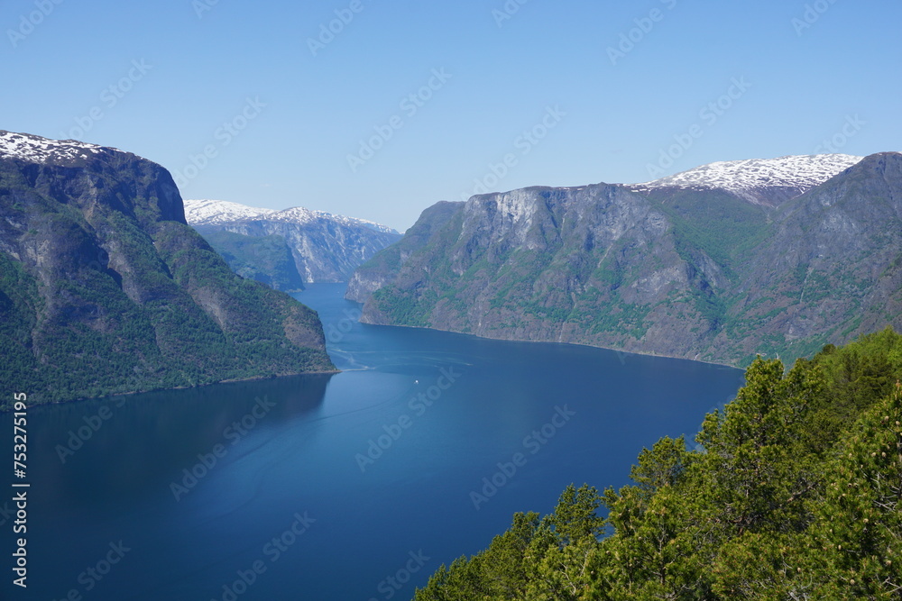 fjord in summer fjord in summer