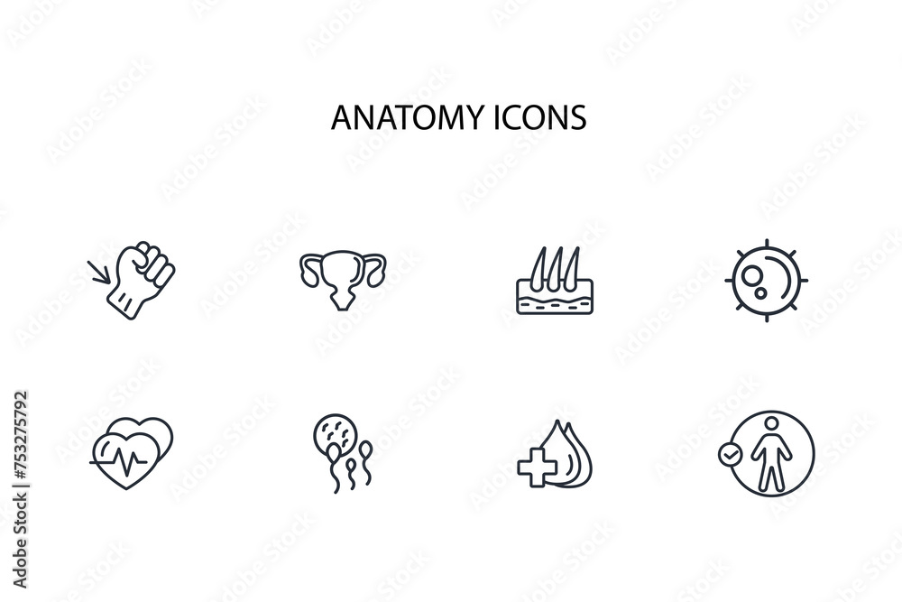 organs icon. anatomy human icon set.vector.Editable stroke.linear style sign for use web design,logo.Symbol illustration.
