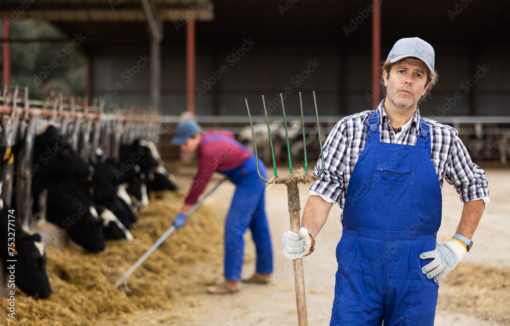 Adult male farmer posing against backdrop of feeding cows on dairy farm
