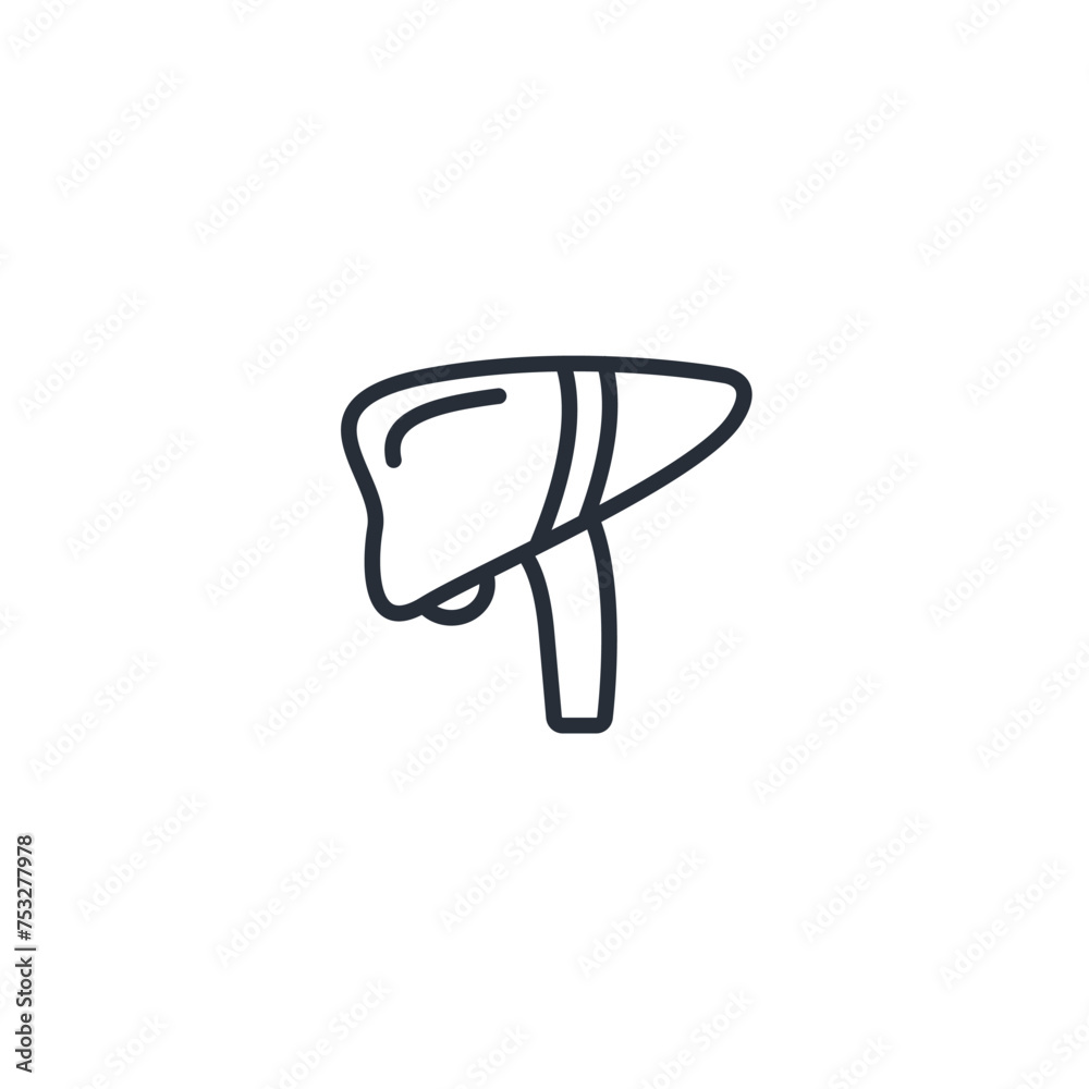 Liver icon. vector.Editable stroke.linear style sign for use web design,logo.Symbol illustration.