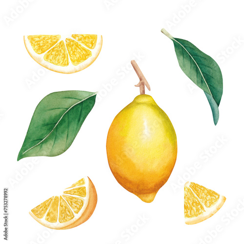Foto Set with whole and slice lemon with green leaves
