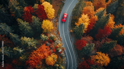 Aerial view captures a modern car navigating a winding, narrow road, flanked by vibrant autumn trees along the roadside © Firuz