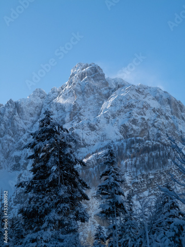 Snow-capped sunlit peak with trees in foreground in Krnica Valley, Julian Alps on a clear winter day