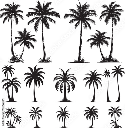 Simple Vector Palm Tree silhouette SVG icons and Beach Logo Designs in black and white and transparent background PNG file with Suns Clouds and Islands in the Ocean