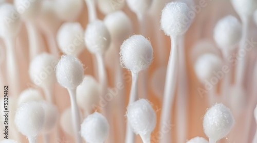 Cotton swabs, close-up photo