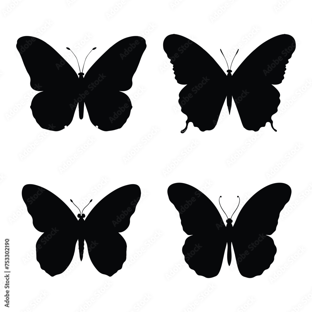 butterlfy vector illustration isolated on white background. 
