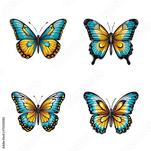 butterlfy vector illustration isolated on white background. 
 photo