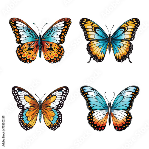 butterlfy vector illustration isolated on white background.  