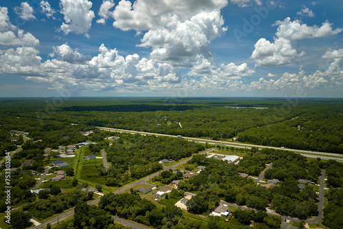 Aerial view of american small town in Florida with private homes between green palm trees and suburban streets in quiet residential area © bilanol