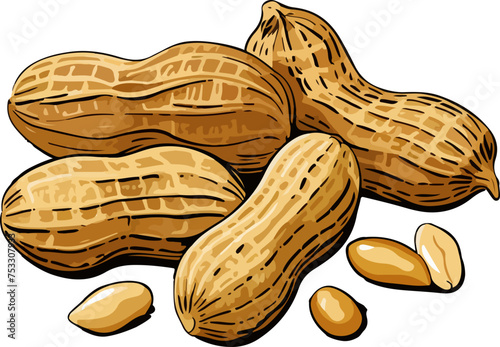 peanut vector illustration isolated on transparent background. 
