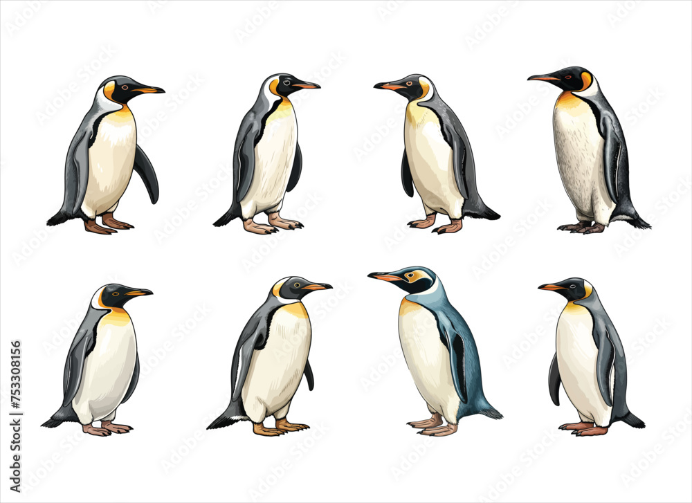 Fototapeta premium penguin vector illustration isolated on white background. 