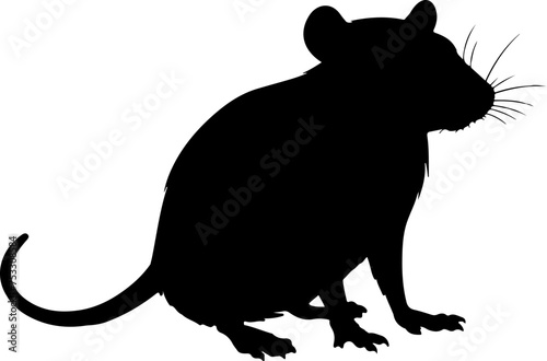 rat vector illustration isolated on transparent background. 