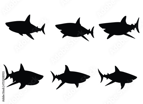 shark vector illustration isolated on white background.  