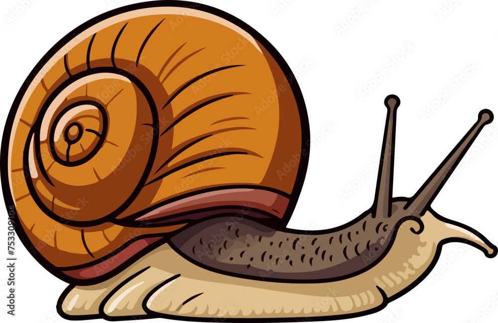 snail vector illustration isolated on transparent background. 
