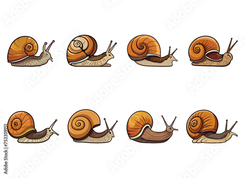 snail vector illustration isolated on white background. 
