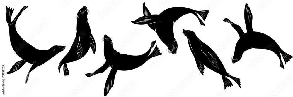 sea ​​lion silhouette