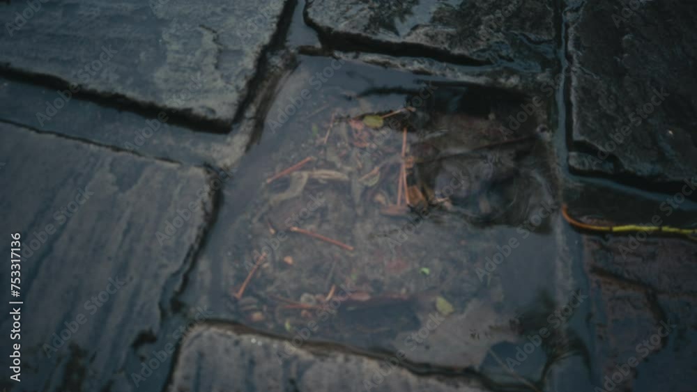 Rainy weather and water dripping into a small container formed due to the fact that one piece of stone was not rolled. Shiny smooth water surface