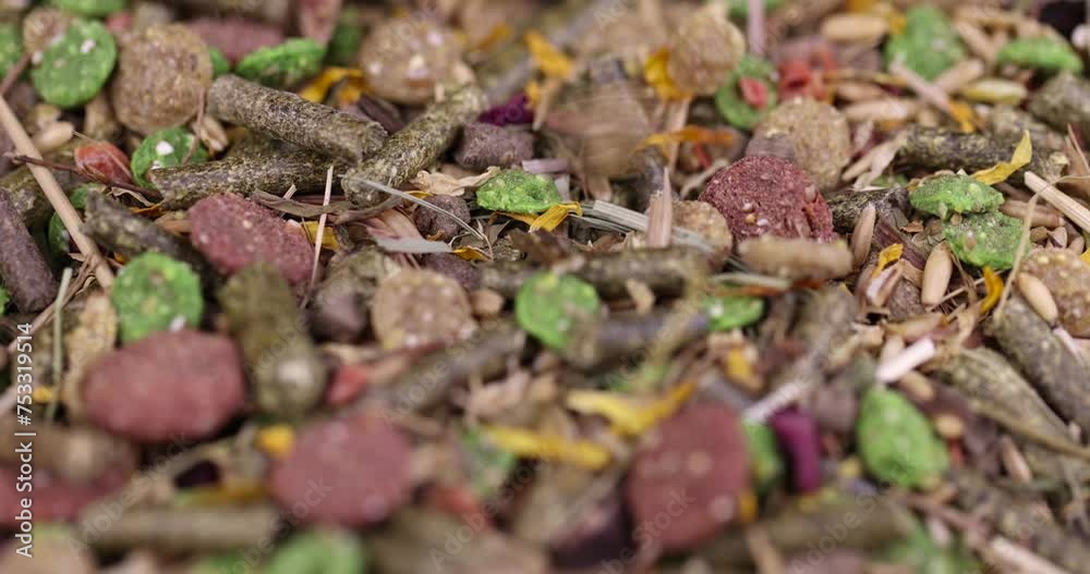 combined feed for rodents from hay, corn, cereals, vegetables, close-up of ingredients mixed for rodents combined feed for rodents from hay, corn, cereals, vegetables, close-up of ingredients mixed for rodents