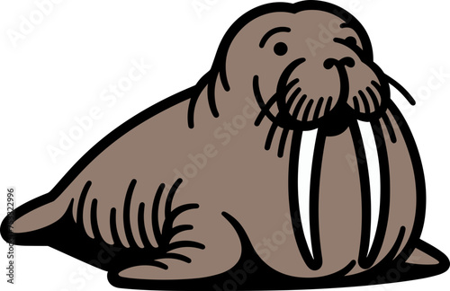 Walrus