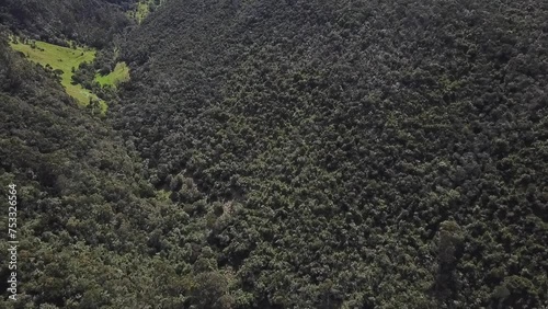 Bosque tupido nativo suramericano entre dos montañas en el municipio de La Calera, Cundinamarca en Colombia photo