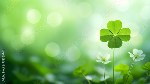 Serene Four-Leaf Clover in Lush Greenery and Dappled Light