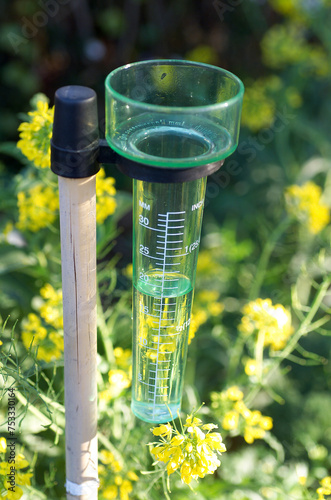 Clear plastic rain guage attached to a wooden pole photo