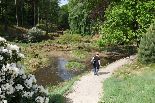 Teich im Kromlauer Park photo