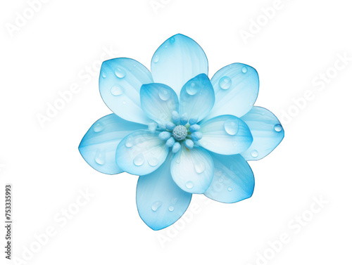 cyan blue flower isolated on transparent background  transparency image  removed background