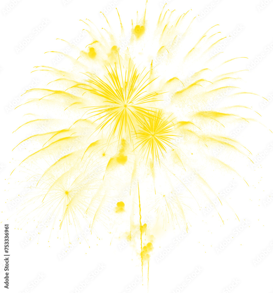 Obraz premium Fireworks