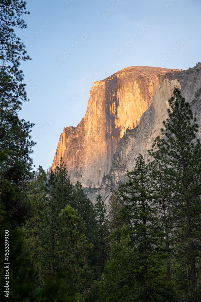 Half Dome Glows Golden Above The Forest In The Evening