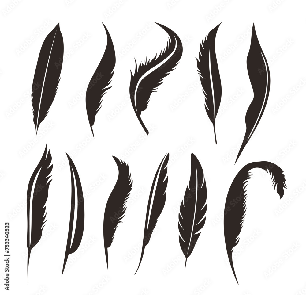 Set of silhouette illustration  feathers,poultry, bird, chicken,ancient pen,vector design collection of wing feather,ornament design decoration