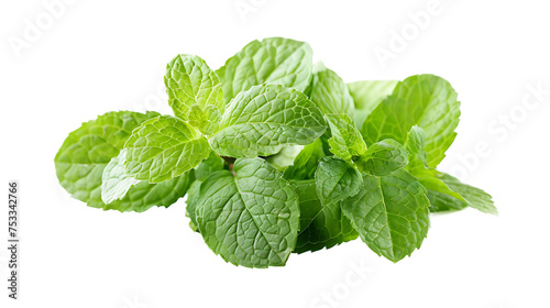 Peppermint isolated on white transparent background