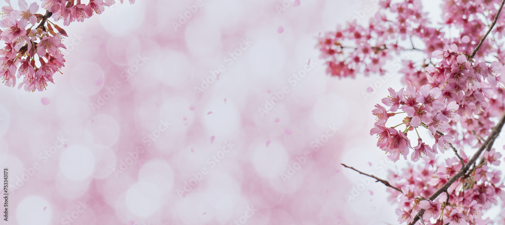 春　満開の桜と舞う花びらの背景壁紙　フレームタイトルスペース　入学・入社・卒業・新生活