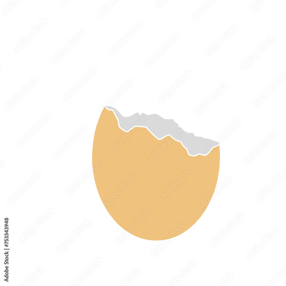 Chicken Egg Shell Chicken Egg Shell